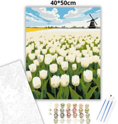  Üde tulipánmező - számfestő készlet - 40×50 cm (Keretre feszítve)