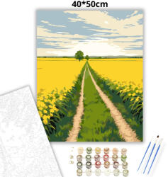  Ragyogó repcemezők - számfestő készlet