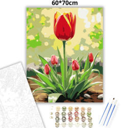  Napsütötte tulipán - számfestő készlet - 60×70 cm (Keret nélkül)