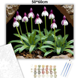  Árnyékban nyíló vad orchideák - számfestő készlet - 50×60 cm (Keretre feszítve)