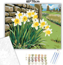  Nárciszok a kőfalnál - számfestő készlet - 60×70 cm (Keret nélkül)