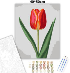  Letisztult tulipán - számfestő készlet - 40×50 cm (Keretre feszítve)