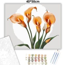  Szelíd kálák eleganciája - számfestő készlet - 40×50 cm (Keretre feszítve)