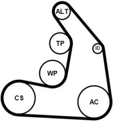 Continental Ctam Set curea transmisie cu caneluri CONTINENTAL CTAM 5PK1255K1 (5PK1255K1) - automobilus