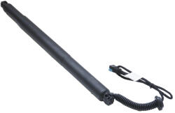 Asam Automotive Amortizor portbagaj ELECTRIC STG. ASAM 100181