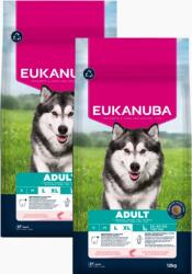 EUKANUBA Adult Large Somon și orz 2x12kg
