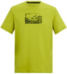 Regatta Fingal Graphic T-Shirt férfi póló L / zöld