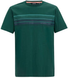 Regatta Rendro férfi póló L / zöld