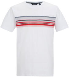 Regatta Rendro férfi póló 5XL / fehér