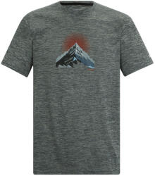 Regatta Fingal Graphic T-Shirt férfi póló M / szürke