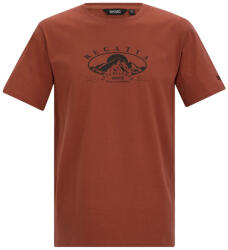 Regatta Cline IX férfi póló S / barna