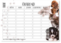  Órarend pd 165x117 mm School Girls/Boys/Animal 2026