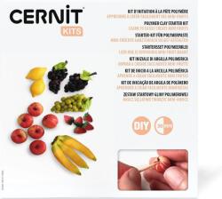 Cernit Starter Kit Полимерна глина Fruit Miniatures (CEKIT005C)