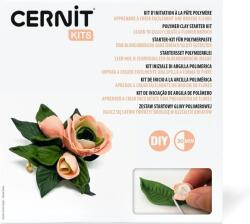 Cernit Starter Kit Полимерна глина Flower Brooch (CEKIT006C)