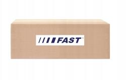 Fast FT31080 féktárcsa (1db)