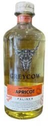 Greycow Pálinka Greycow Pannónia Kajszi Pálinka (0, 7l)(41%)