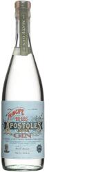 Principe De Los Apostoles Gin Gin Principe de Los Apostoles (53%)(0, 7l)
