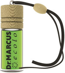 CARMOTION Ecolo illatosító - Zöld Alma - DM310 (DM310) - akcio-shop