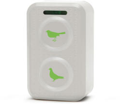  Galambriasztó (GL55661)