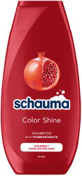 Schauma Samp. 250ml Női Színv. Festett Hajra (3225)
