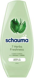 Schauma Balzsam 250ml 7 Herbs Freshness (3261)