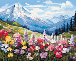 Alkotásutca Virágos hegy - Számfestő készlet kereten 40x50