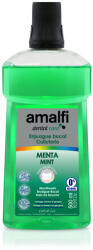  Amalfi Szájvíz 500ml Menta Mint (811)