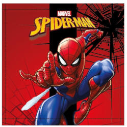 Mister Licence Pókember City Swing 30x30 cm FML365785