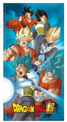 Mister Licence Dragon Ball Battle Masters 70x140 cm FML339335