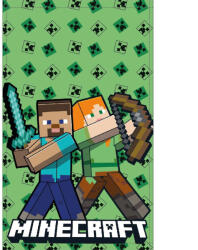 Mister Licence Minecraft Battle 30x50 cm FML365914