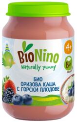 BioNino Био пюре BioNino - Оризова каша с горски плодове, 4 м+, 190 g (BN2430) - ozone