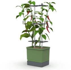 Gusta Garden CHARLY CHILY Standard önitató virágcserép, sötétzöld (GG-XL103710)