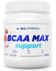 ALLNUTRITION BCAA Max Support, căpșună, 500 g, AllNutrition (7495)