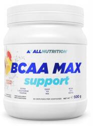 ALLNUTRITION BCAA Max Support, tropical, 500 g, AllNutrition