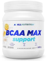 ALLNUTRITION BCAA Max Support, portocală, 500 g, AllNutrition