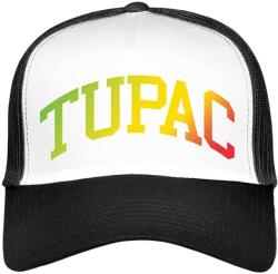 2Pac Gradient Logo Шапка с козирка Black & White UNI (<![CDATA[2PACMBCAP01WB]]>)
