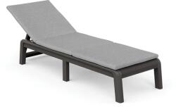 Keter ATLAS MŰANYAG KERTI NAPOZÓÁGY(párnával) - csillogó szürke / világos szürke