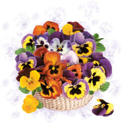  Árvácska Colourful szalvéta 20 db-os 33x33 cm (PKK055346) - aprotalpak