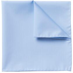Charles Tyrwhitt Cotton Pocket Square - Sky Blue