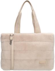 Zebra Trends Emma 23899 Cream