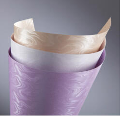  Carton special PAPIRUS A4, 220 g/mp, 20 coli/top alb