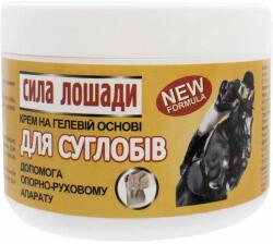 LekoPro Lóerő gél az ízületek számára 300ml