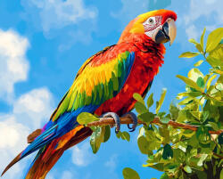 Alkotásutca Színes repülés - Számfestő készlet kereten 40x50