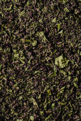 Íz-Tár ÍZTÁR Majoranna morzsolt 10 g