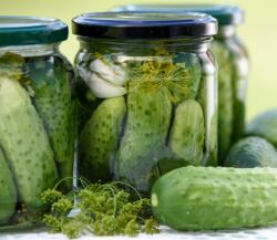 Íz-Tár Íz Tár savanyúság fűszerkeverék 20g