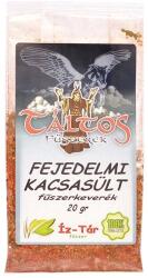 Íz-Tár Íz Tár fejedelmi kacsasült fűszerkeverék 20g