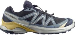 Salomon Мъжки маратонки Salomon Examotion GTX Mens Trail Running Shoe - Dark Navy
