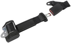 Carpoint Centura siguranta auto Carpoint cu 2 puncte, retractabila, 100 cm (1434603)