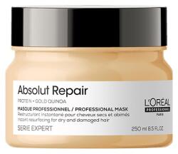 L'Oréal L'ORÉAL PROFESSIONNEL ABSOLUT REPAIR маска за изтощена коса Маска за коса дамски 250ml
