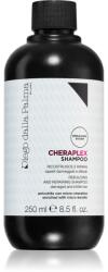 Diego dalla Palma Rebuilding And Repairing Shampoo sampon revitalizant 250 ml